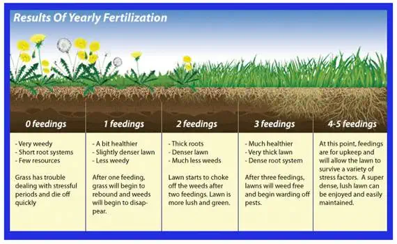 Fertilization, Annapolis, MD