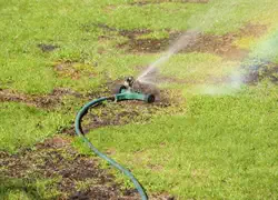 Lawn Care and Irrigation, Pasadena, MD