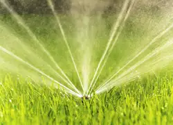 Lawn Care and Irrigation, Pasadena, MD