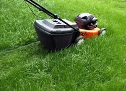 Lawn Care and Irrigation, Pasadena, MD